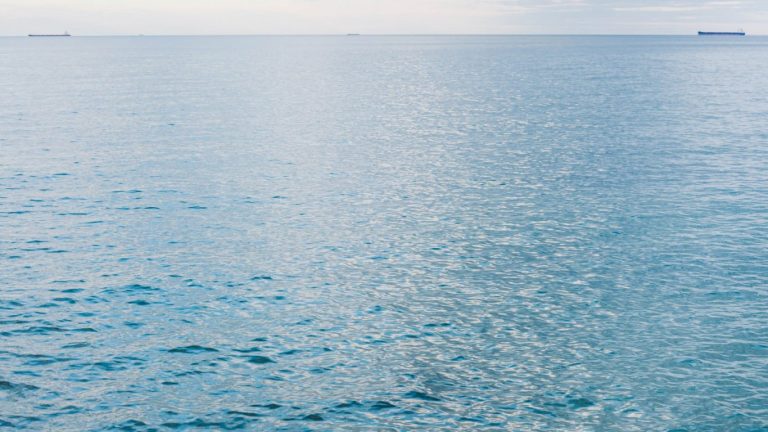 Трагедия в морето: Сирийски моряци изчезнаха, разследване блокирано от дълбините